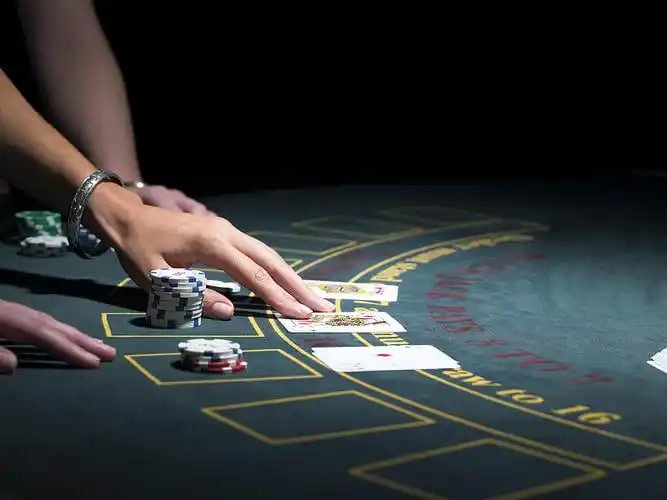 top88 bet top88 bet